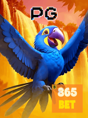 865BET bônus — cashback 15 por cento e níveis VIP